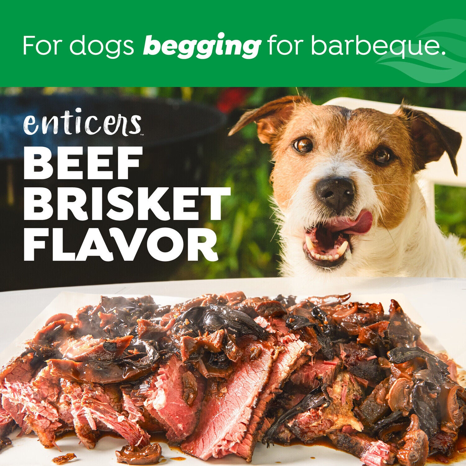 Tropiclean Fresh Breath Enticers Tarter Control Dog Dental Health Kit, Smoked Beef Brisket Flavor, 3-Piece