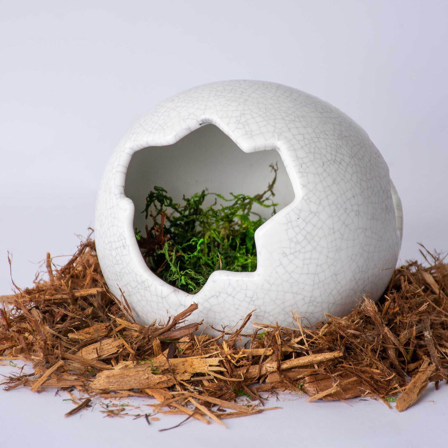 Gal&aacute;pagos Egg Reptile Hideout, Ceramic, Medium, 6 X 5In