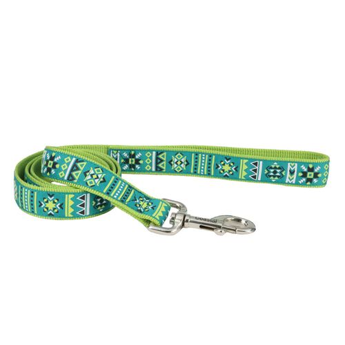 Coastal Pet Ribbon Dog Leash - Lime Southwest Stars