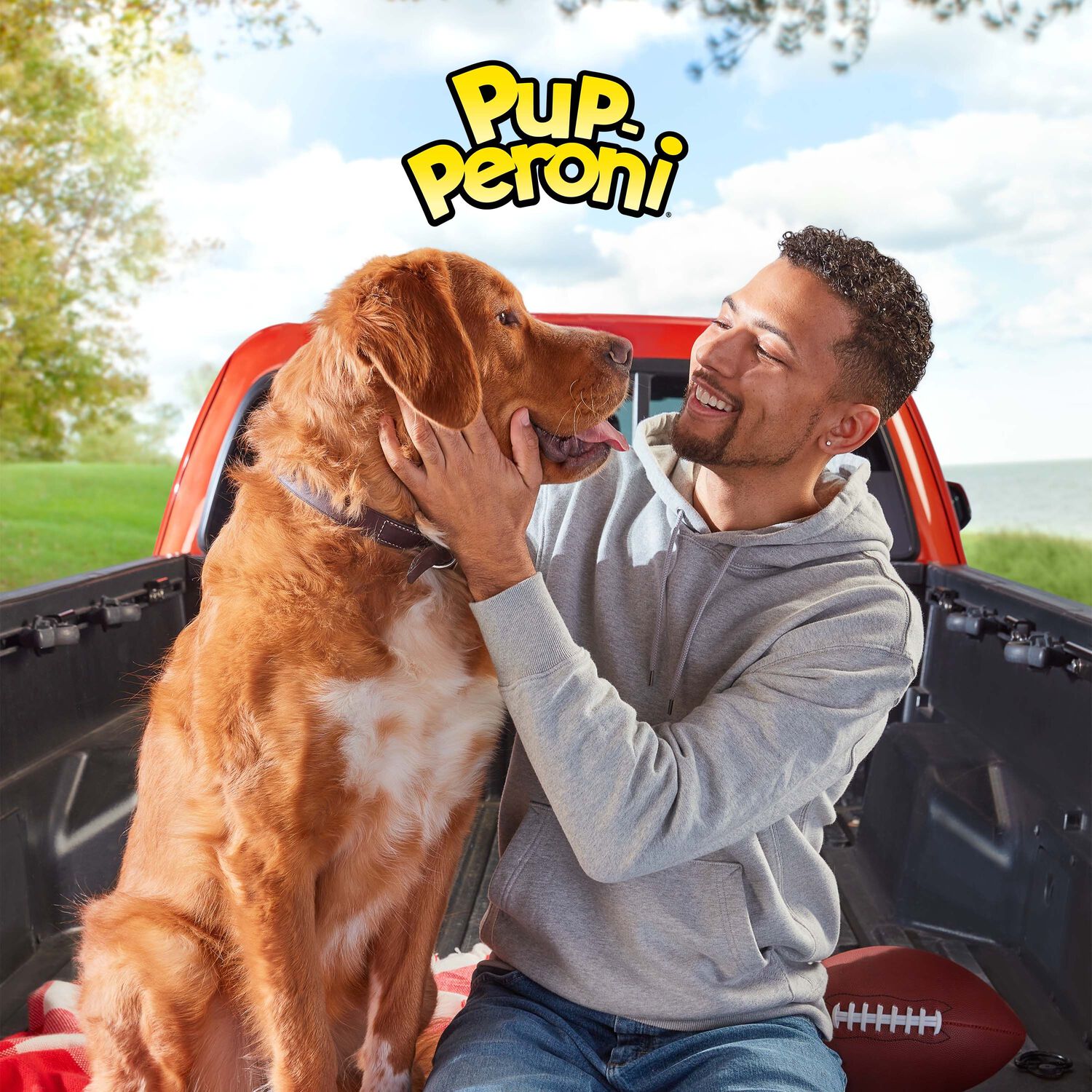 Pup-Peroni Original Beef Recipe Soft & Chewy Dog Treats, 22.5-Oz Bag
