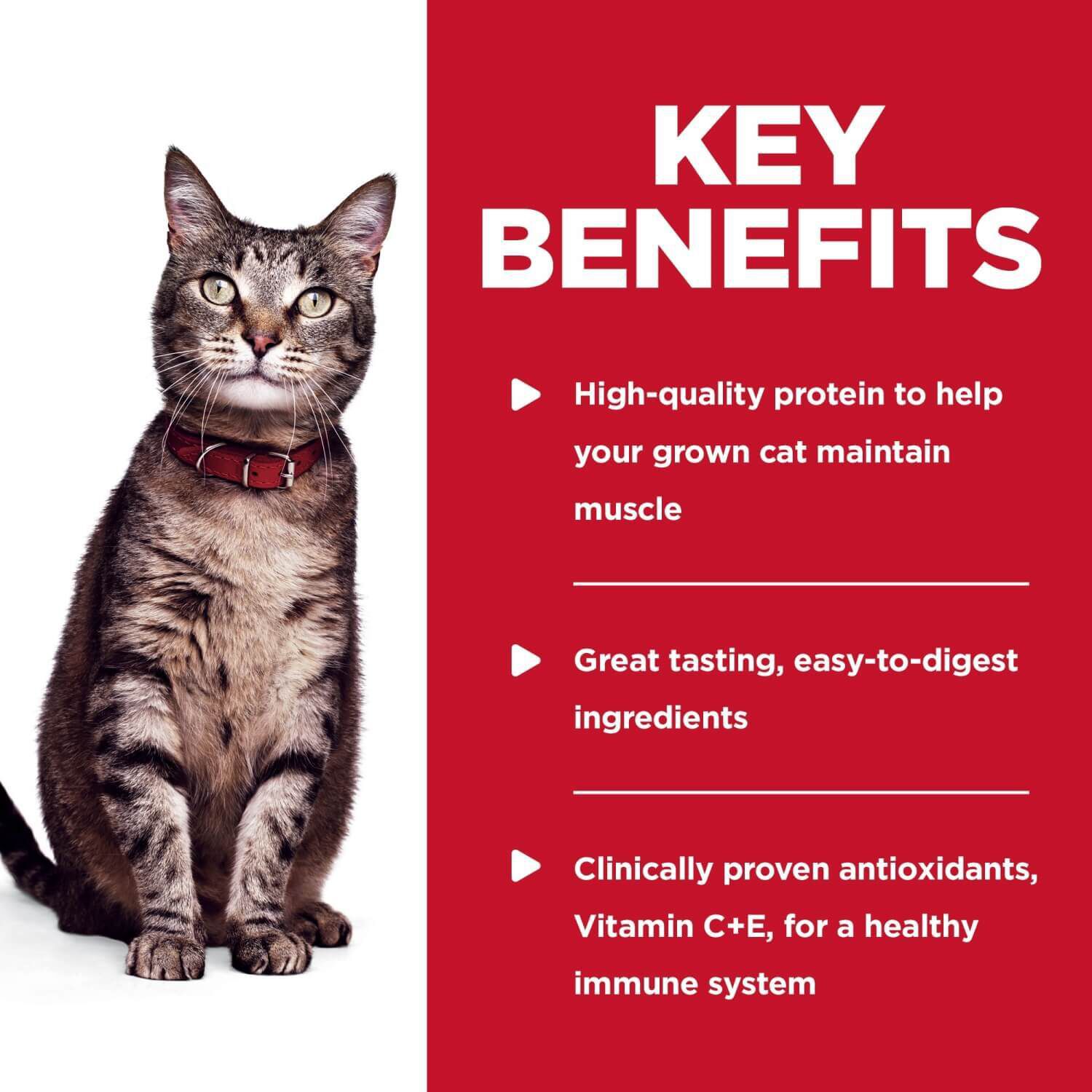 Hill's Science Diet Adult Tender Tuna Dinner Wet Cat Food