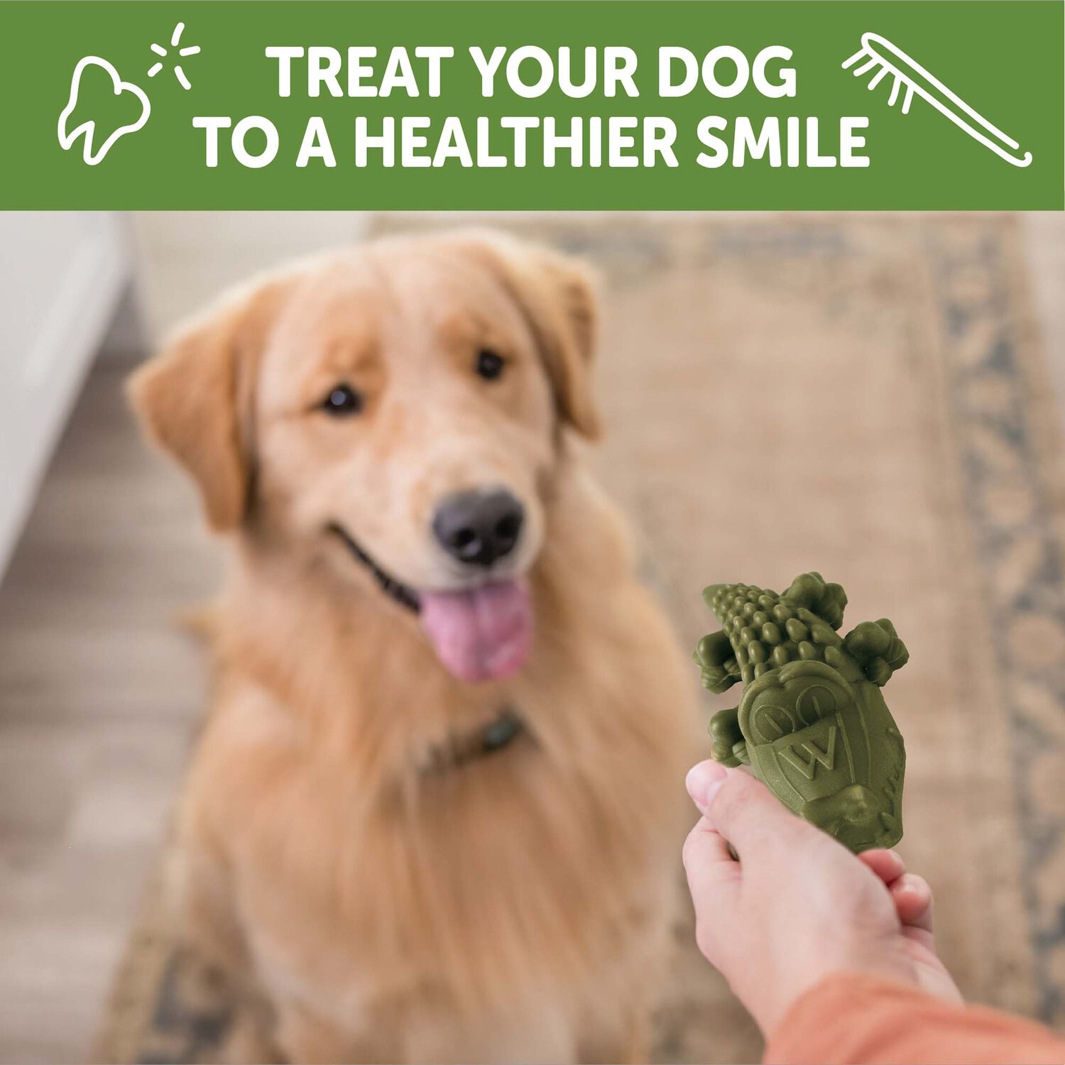 Whimzees Alligator Natural Grain-Free Dental Dog Treats, Large, 1 Count