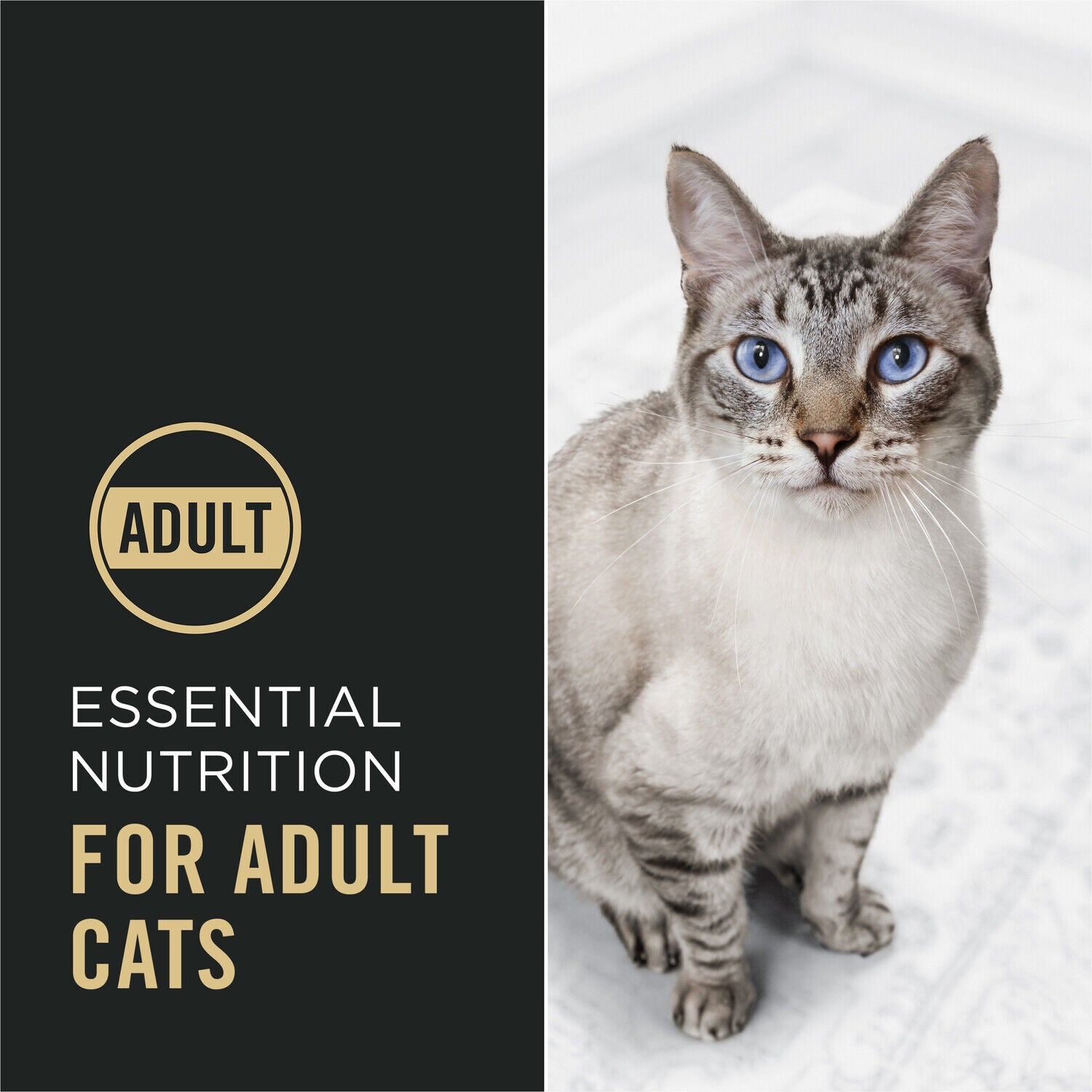 Purina Pro Plan Complete Essentials Salmon And Rice Formula Adult High-Protein Dry Cat Food, 16-Lb Bag