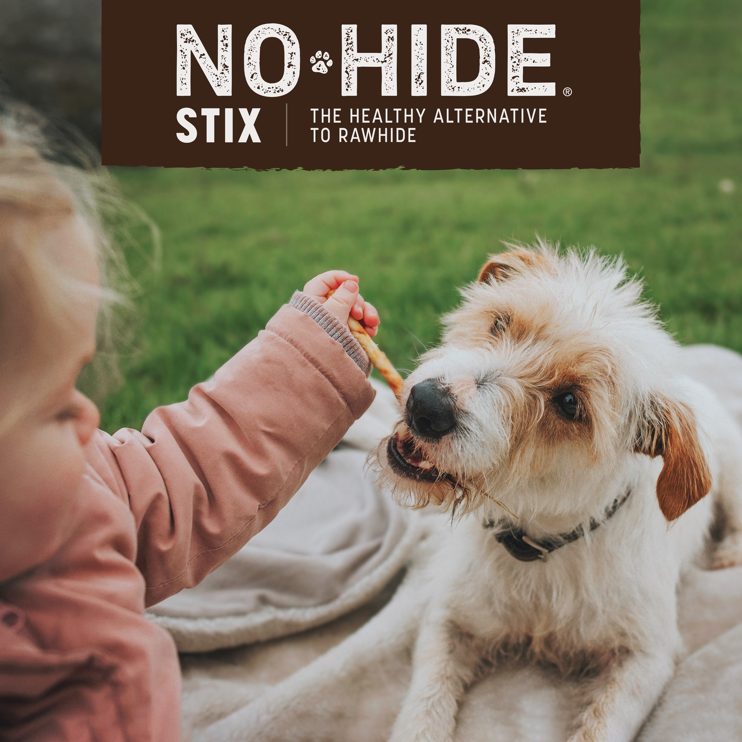 Earth Animal No-Hide Rawhide Alternative Dog & Cat Treat Stix, Cage-Free Chicken, 1-Each