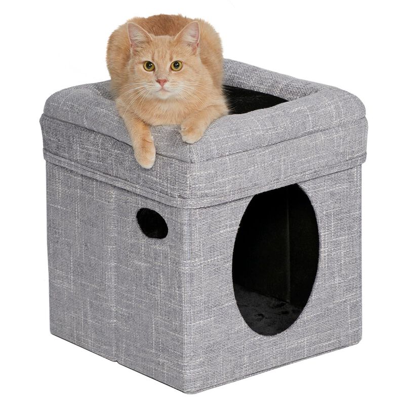 Curious Cat Cat Cube image number 5