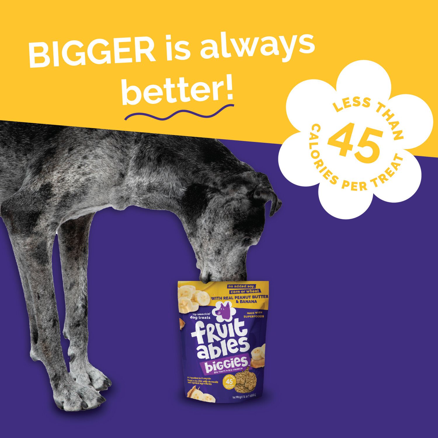 Fruitables Biggies Crunchy Biscuit Dog Treats, Peanut Butter & Banana, 16-Oz
