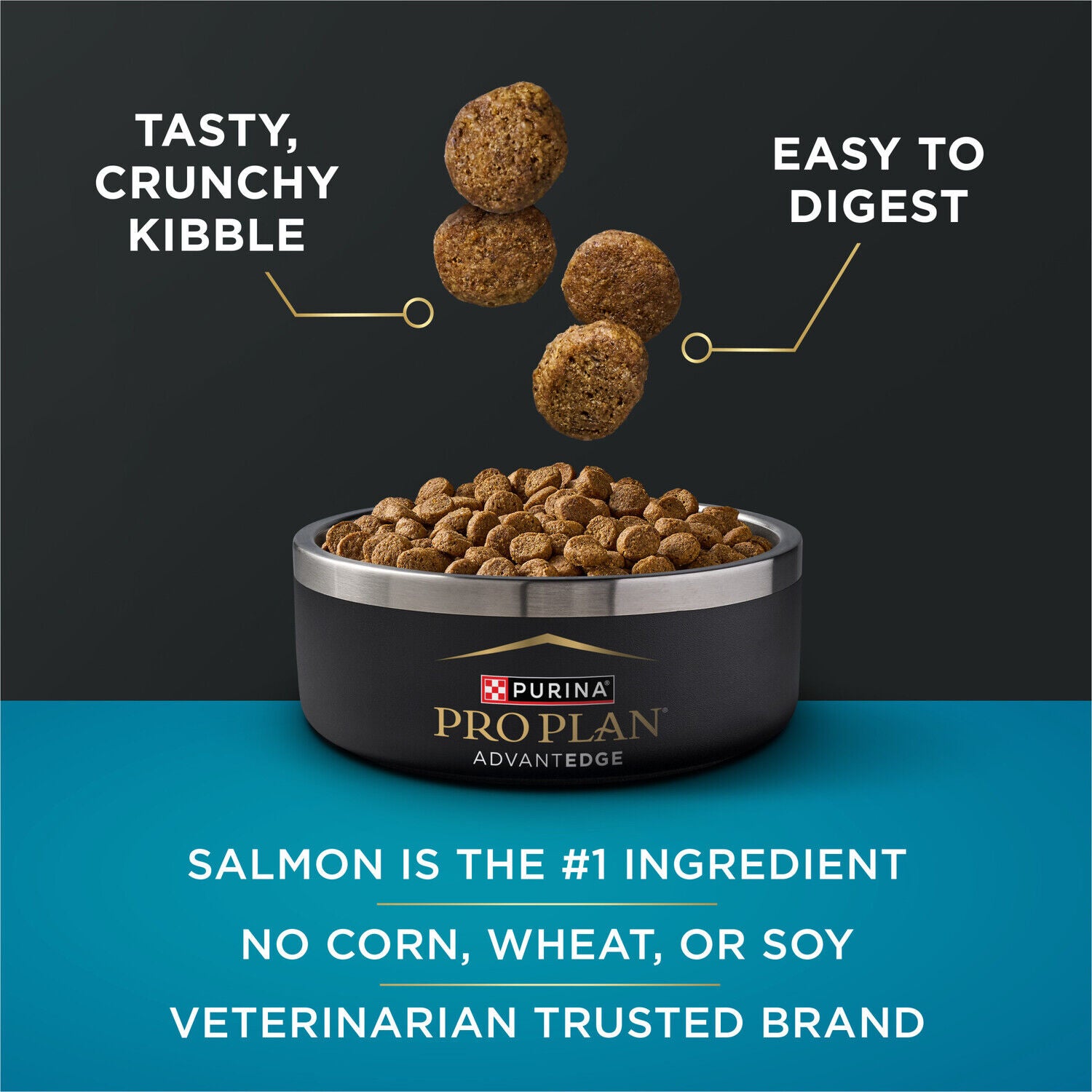 Purina Pro Plan Advantedge Digestive Support Plus Small Breed Salmon And Oat Meal Formula Adult Dry Dog Food - 3.5-Lb. Bag