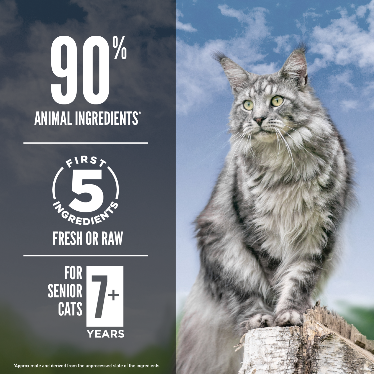 Orijen Fresh & Raw Animal Ingredients High Protein Grain Free Senior Guardian Dry Cat Food, 4-Lb Bag