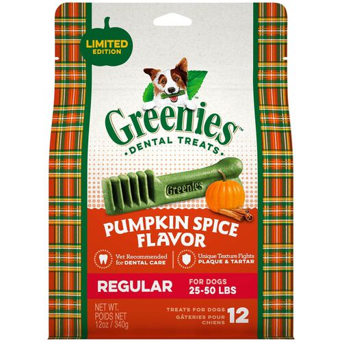 Pumpkin Spice Flavor Large Size Dental Chew Treats For Dogs, 12 Oz.