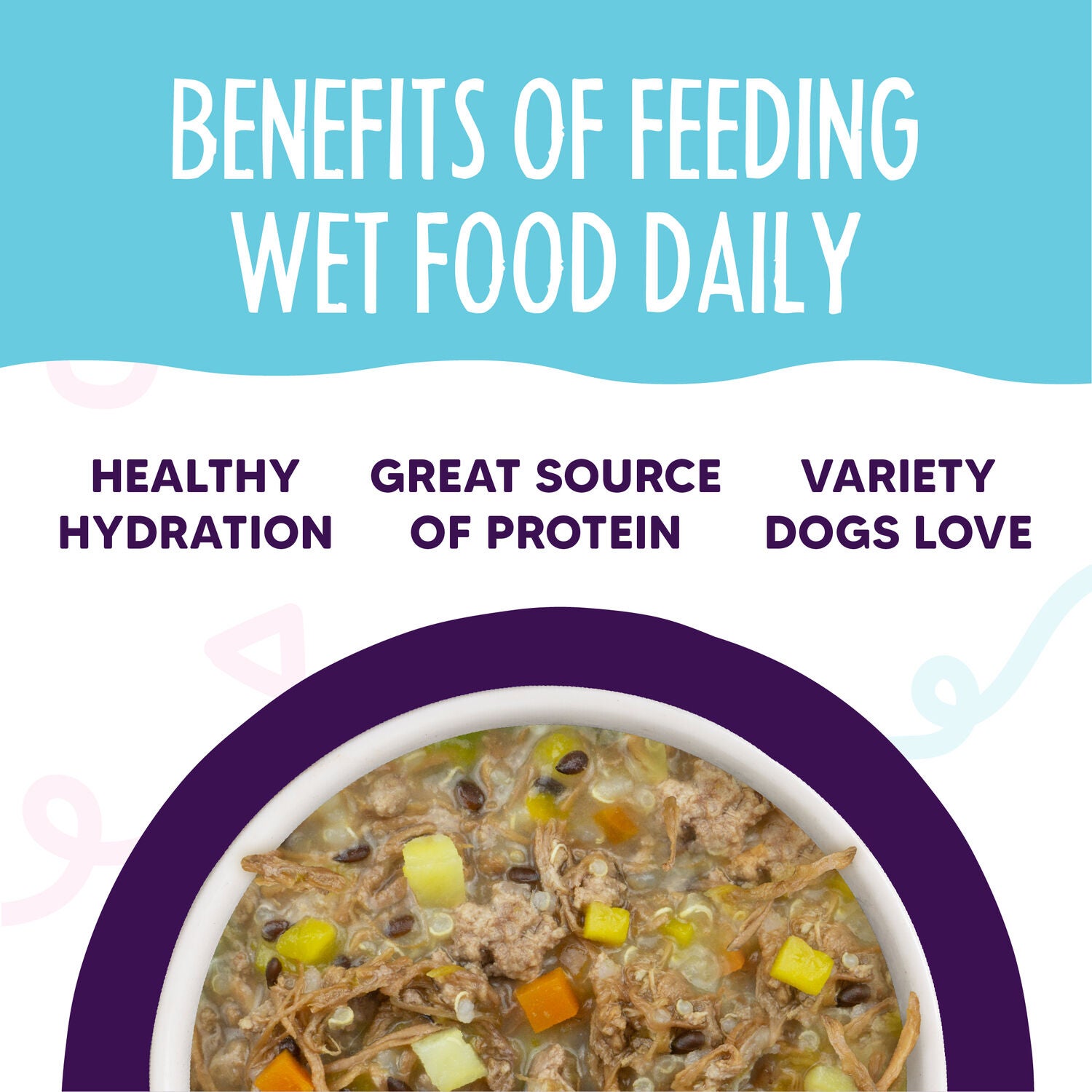 Weruva Dog Meals 'N More Natural Wet Dog Food & Topper Jammin' Salmon Recipe Plus Skin & Coat Health, 3.5-Oz