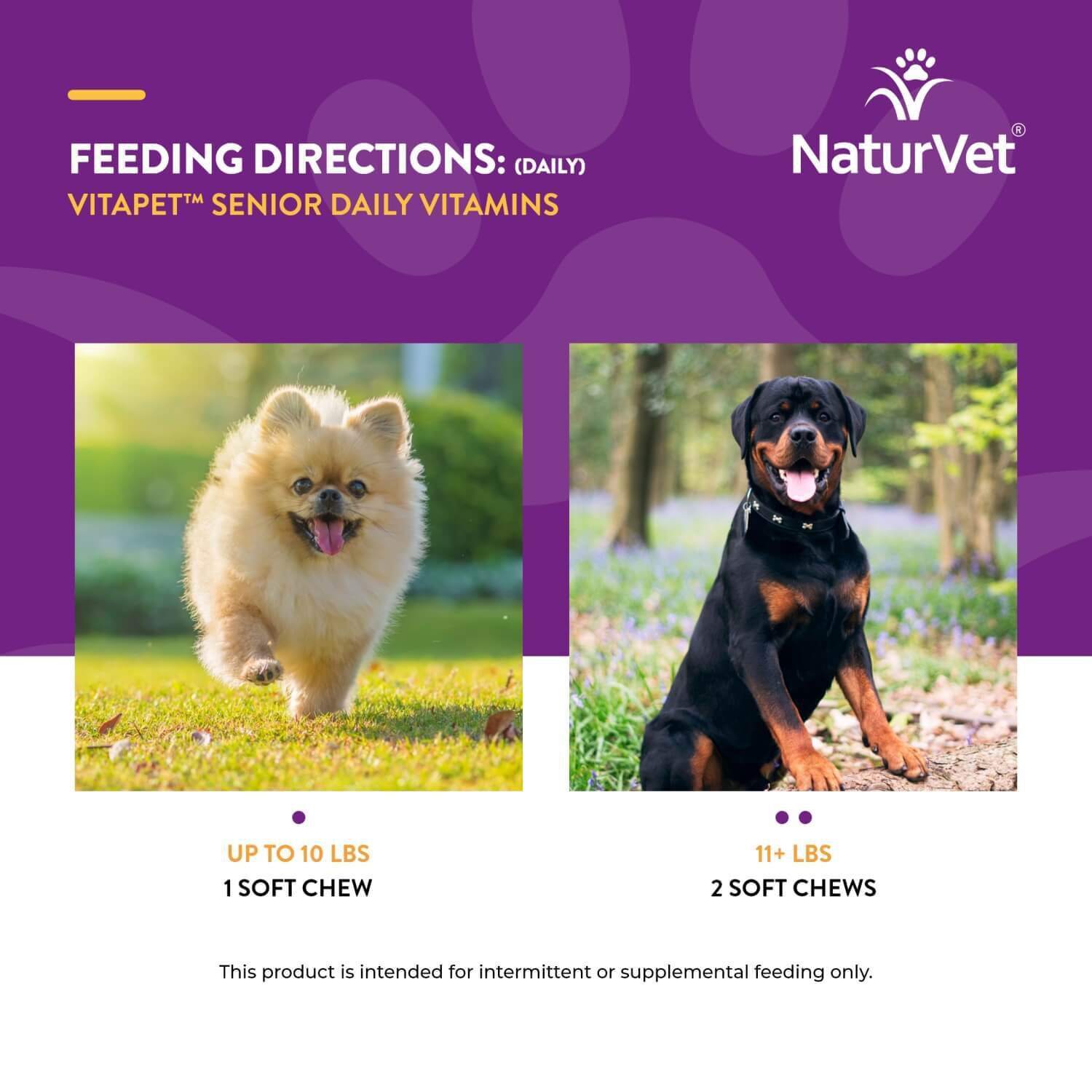Naturvet Vitapet Senior Daily Vitamins Plus Glucosamine Soft Chews For Dogs