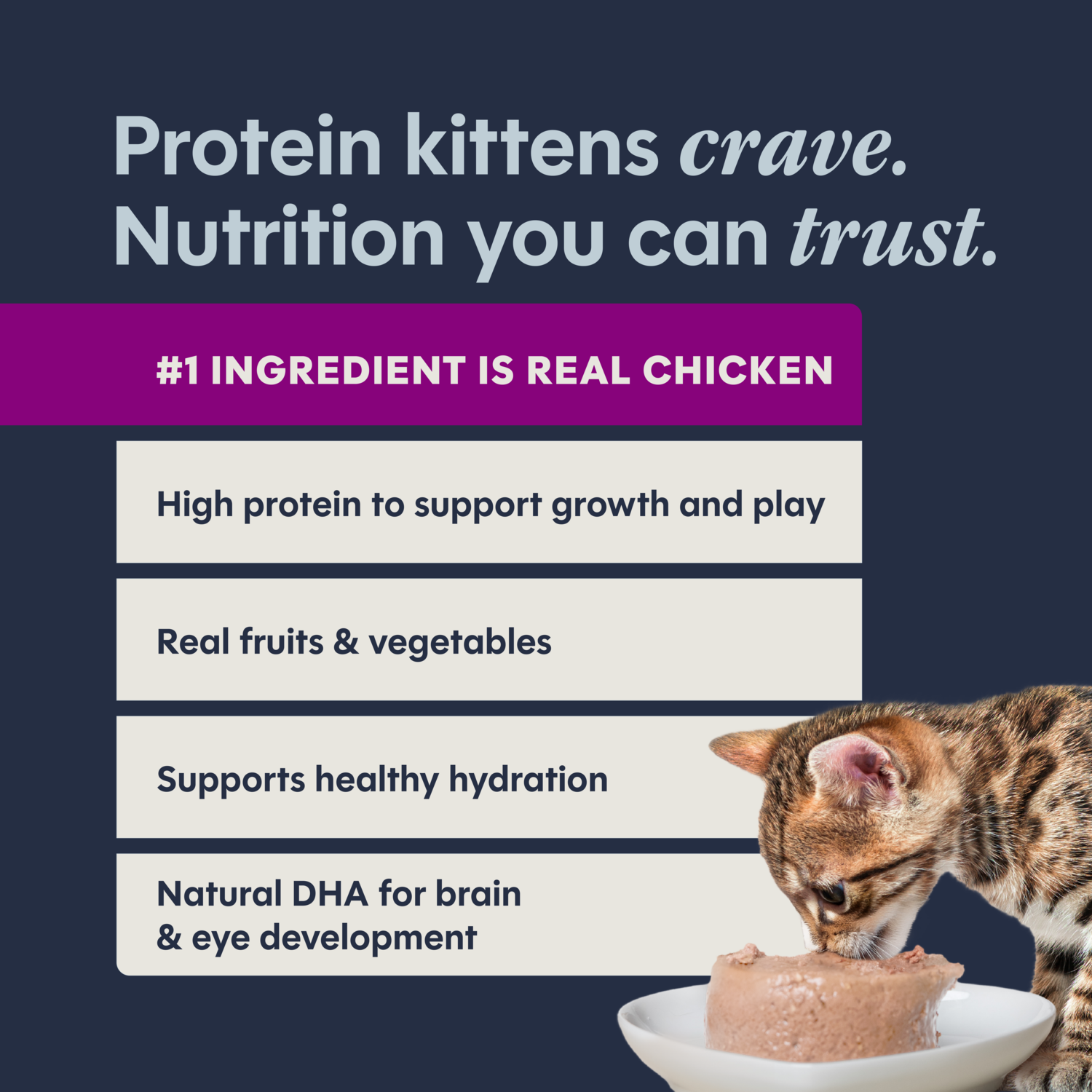 Instinct Original Grain-Free Real Chicken Recipe Pate Wet Cat Food, 3-Oz 24-Pack