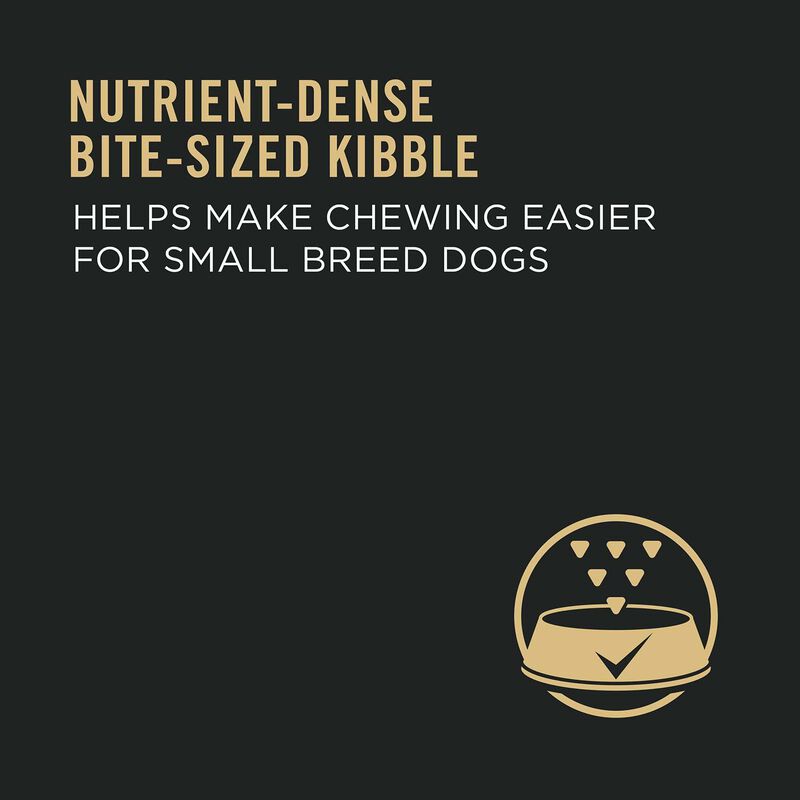 Adult Specialized Small Breed Chicken & Rice Dog Food image number 16