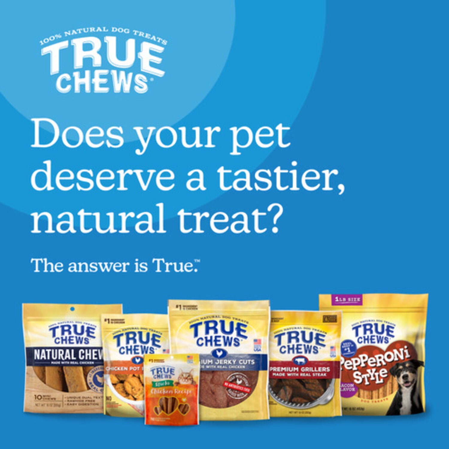 Blue Buffalo True Chews Premium Jerky Cuts Natural Steak Dog Treats, 20-Oz Bag