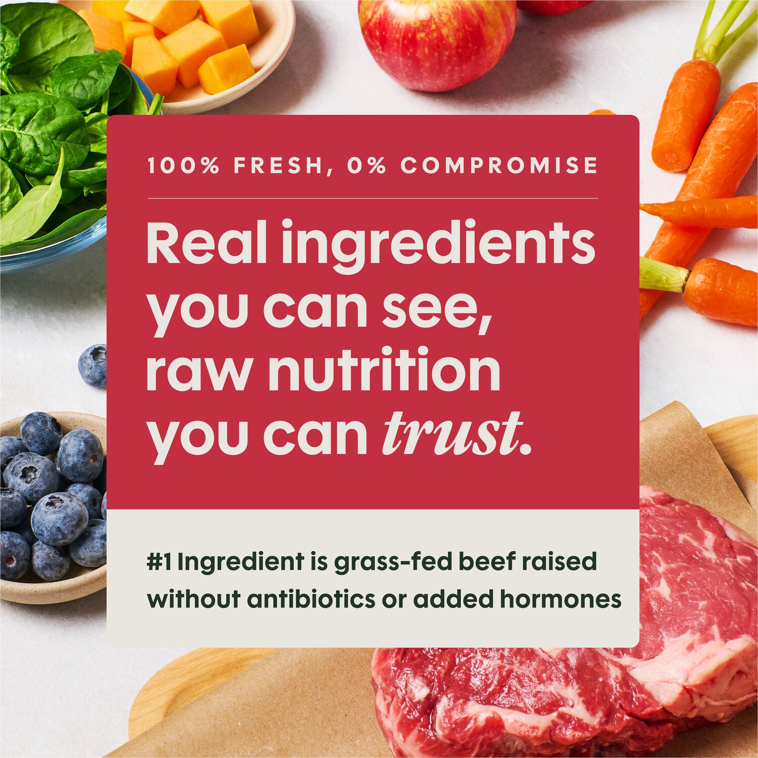 Instinct Freshraw Meals Grass-Fed Beef Recipe Frozen Dog Food, 8-Oz Pack
