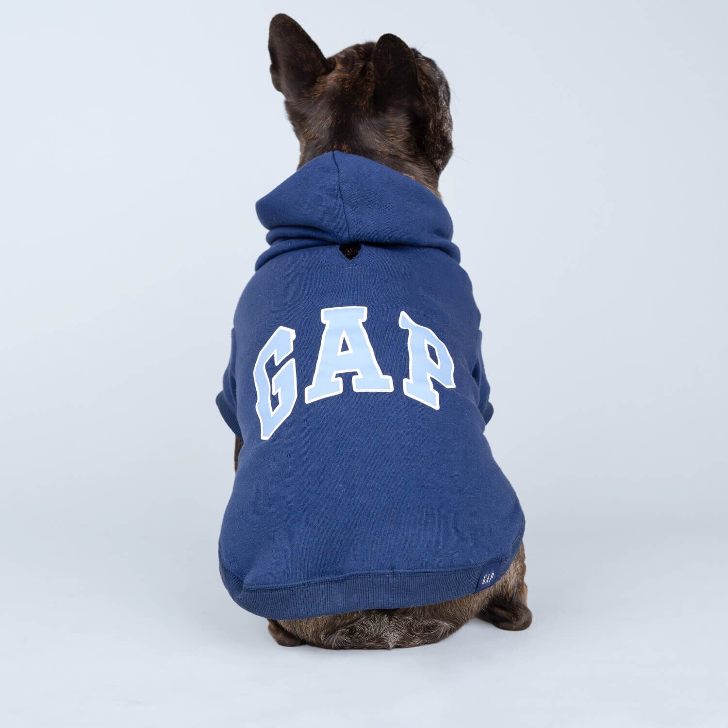 Gap dog hoodie discount