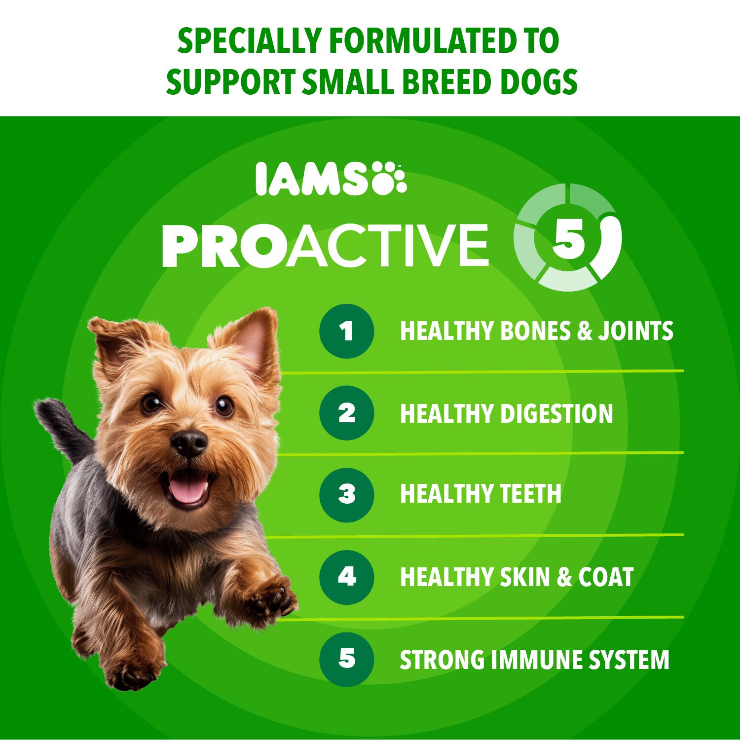 Iams Proactive Health Small Breed Adult Dry Dog Food, Chicken & Whole Grains Recipe, 5-Lb Bag