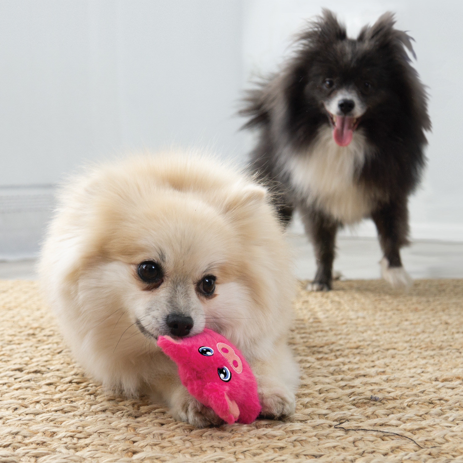 Kong Snuzzles Mini Pig Plush Squeaky Dog Toy, 4.25"