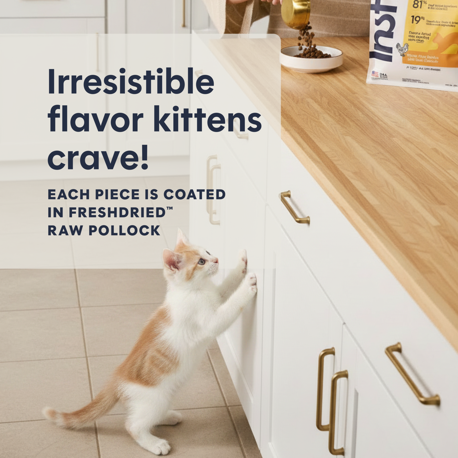 Instinct Original Kitten Grain-Free Recipe With Real Chicken Dry Cat Food, 4.5-Lb Bag