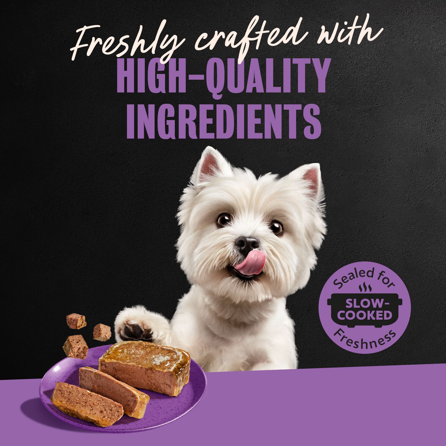 Cesar Classic Loaf In Sauce Soft Wet Dog Food, Filet Mignon Flavor, 3.5-Oz