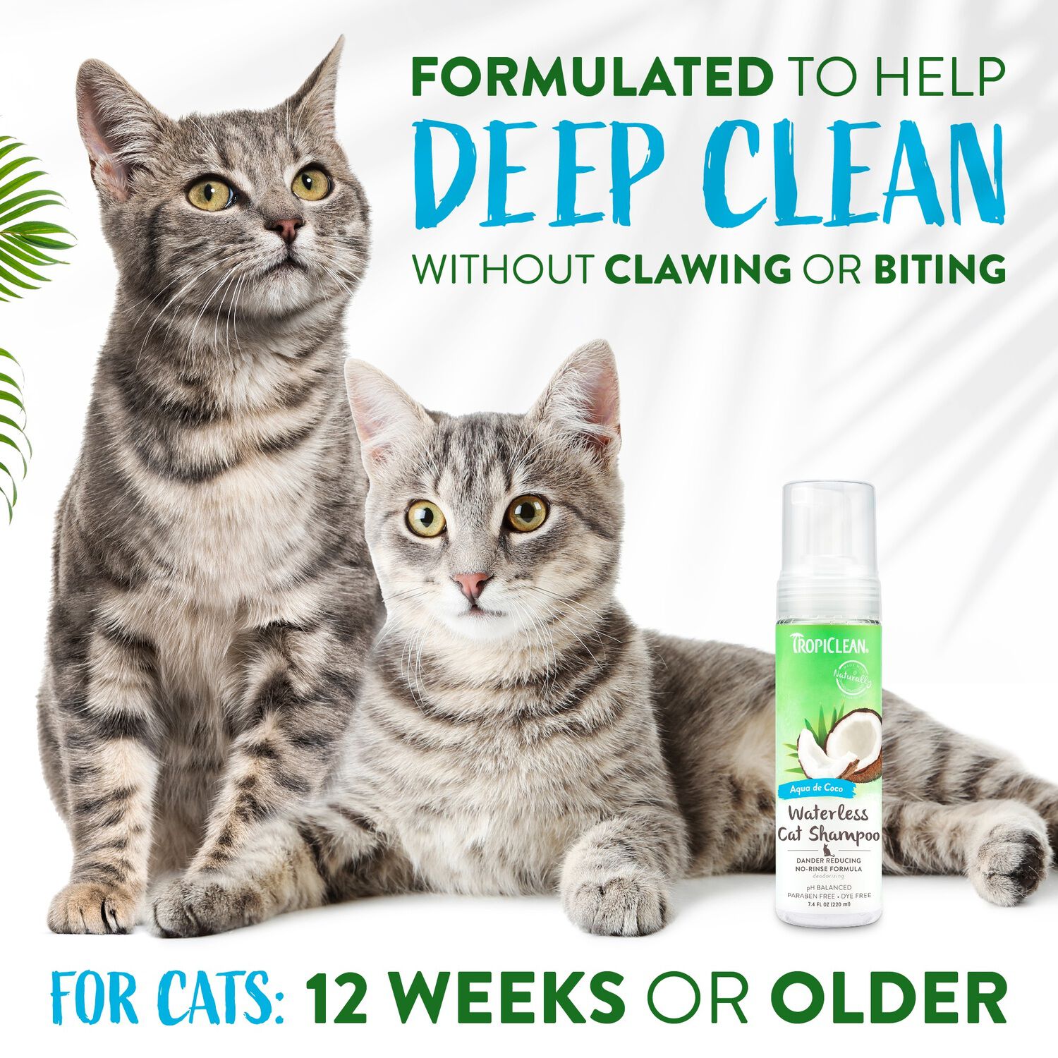 Tropiclean Dander Reducing Waterless Cat Shampoo, 7.4-Oz