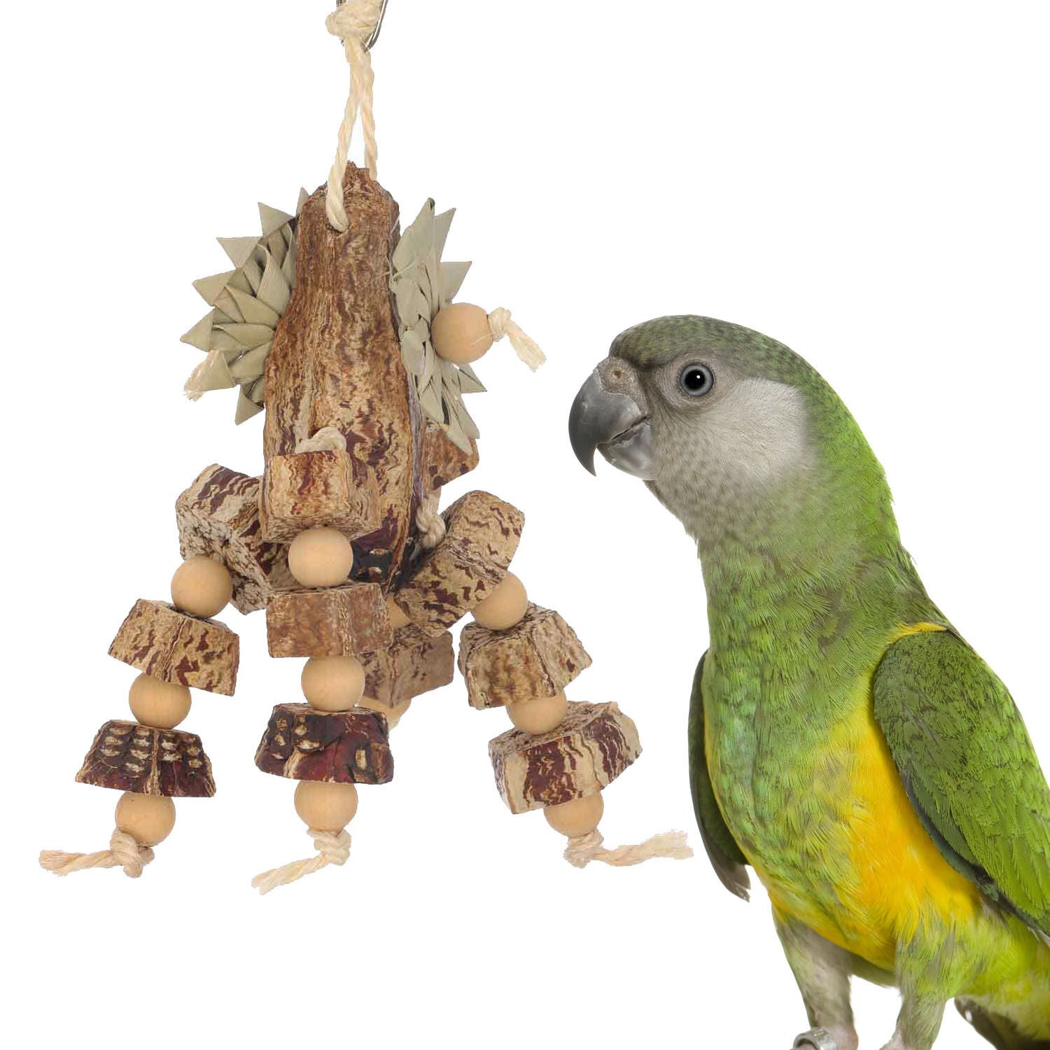 Super Bird Creations Mahogany Feast Bird Toy