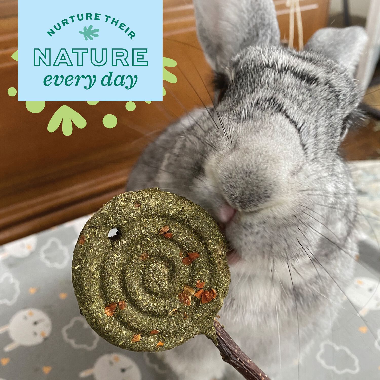 Oxbow Enriched Life Timothy Carrot Lollipop Small Animal Chew Toy