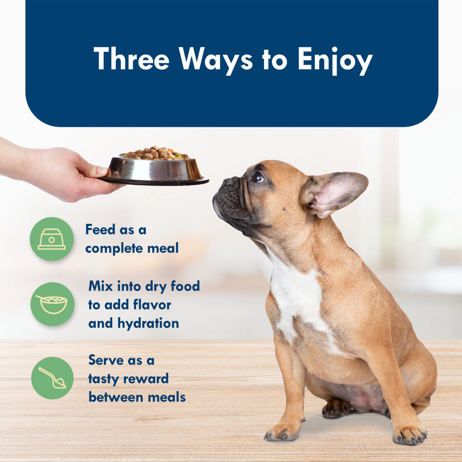 Blue Buffalo Divine Delights Small Breed Natural Wet Dog Food, Ny Strip Flavor In Hearty Gravy, 3.5-Oz - Pack Of 12