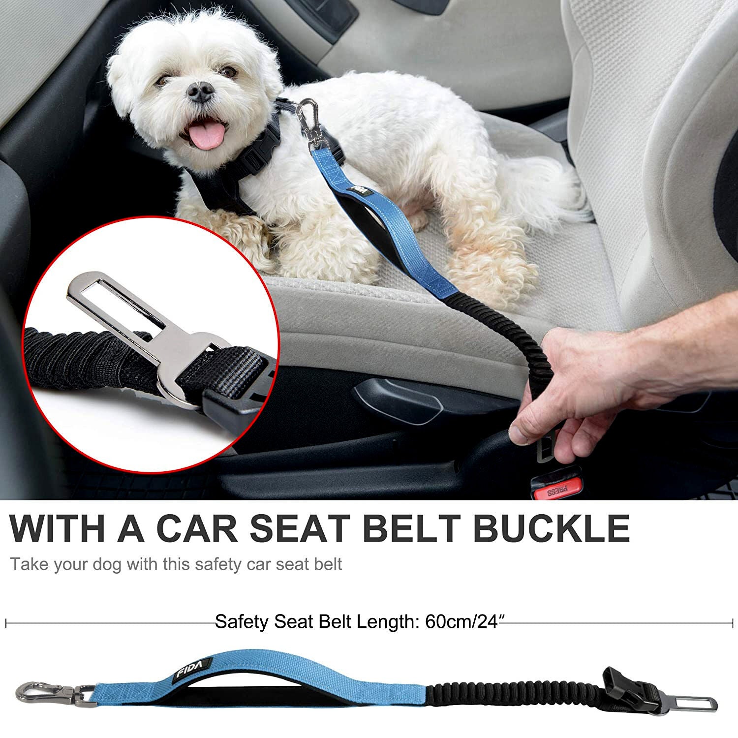 Fida Pet 6-In-1 Feature Dog Leash, Blue