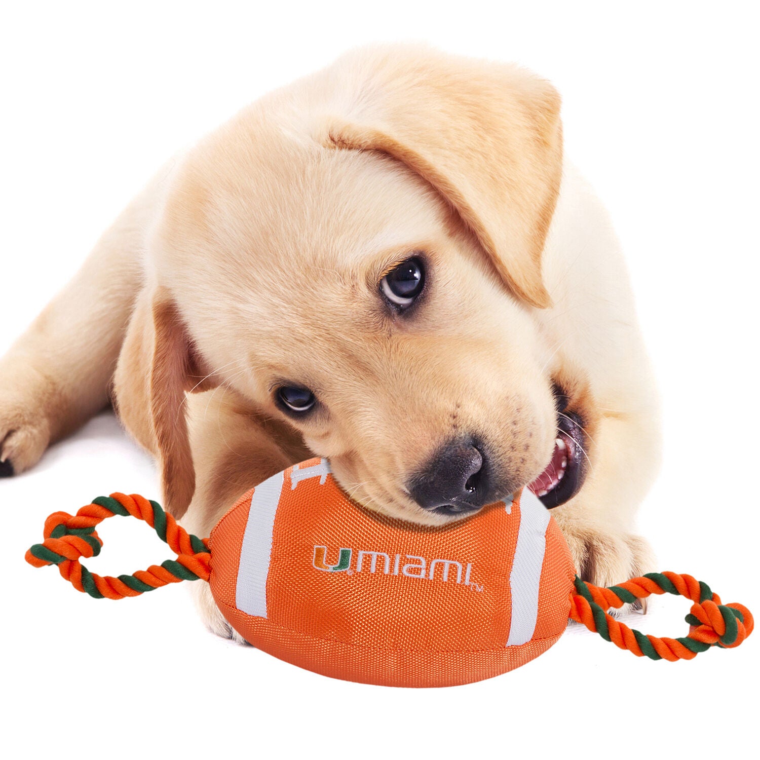 Pets First University Of Miami Hurricanes Football Plush, Rope & Tug Dog Toy