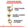 Royal Canin Breed Health Nutrition Adult Boxer Dry Dog Food, 17lbs