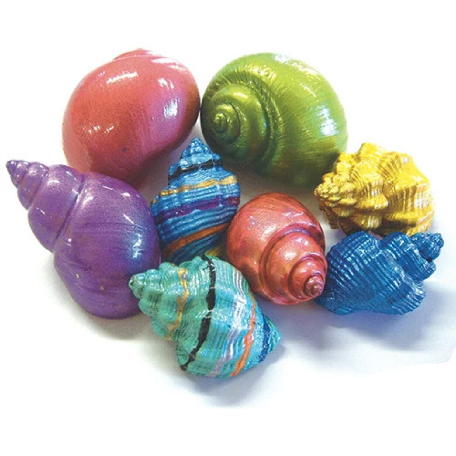 Hermit Crab Specialty Painted Shell