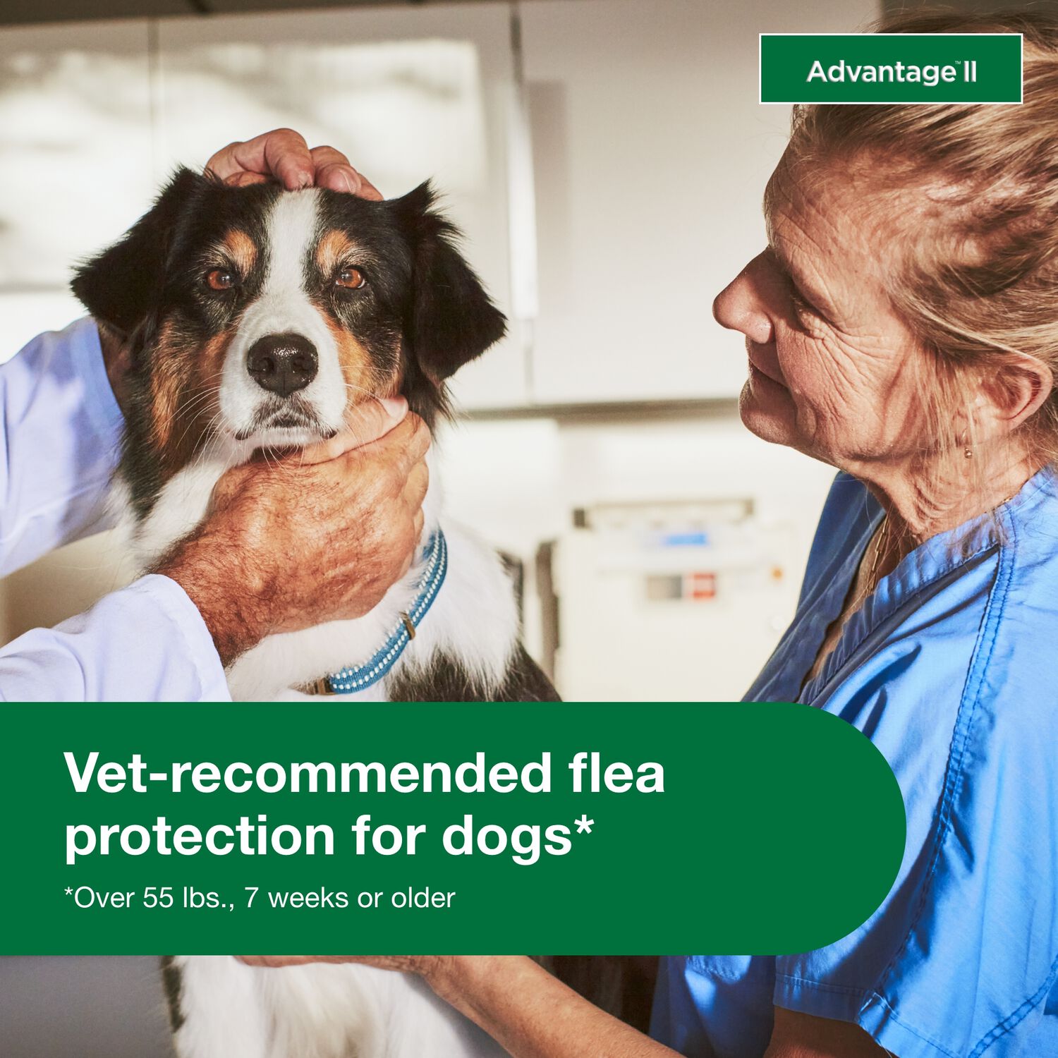 Advantage Ii Flea Treatment & Prevention For Extra Large Dogs, Over 55-Lbs 6-Pack = 6 Months Of Protection