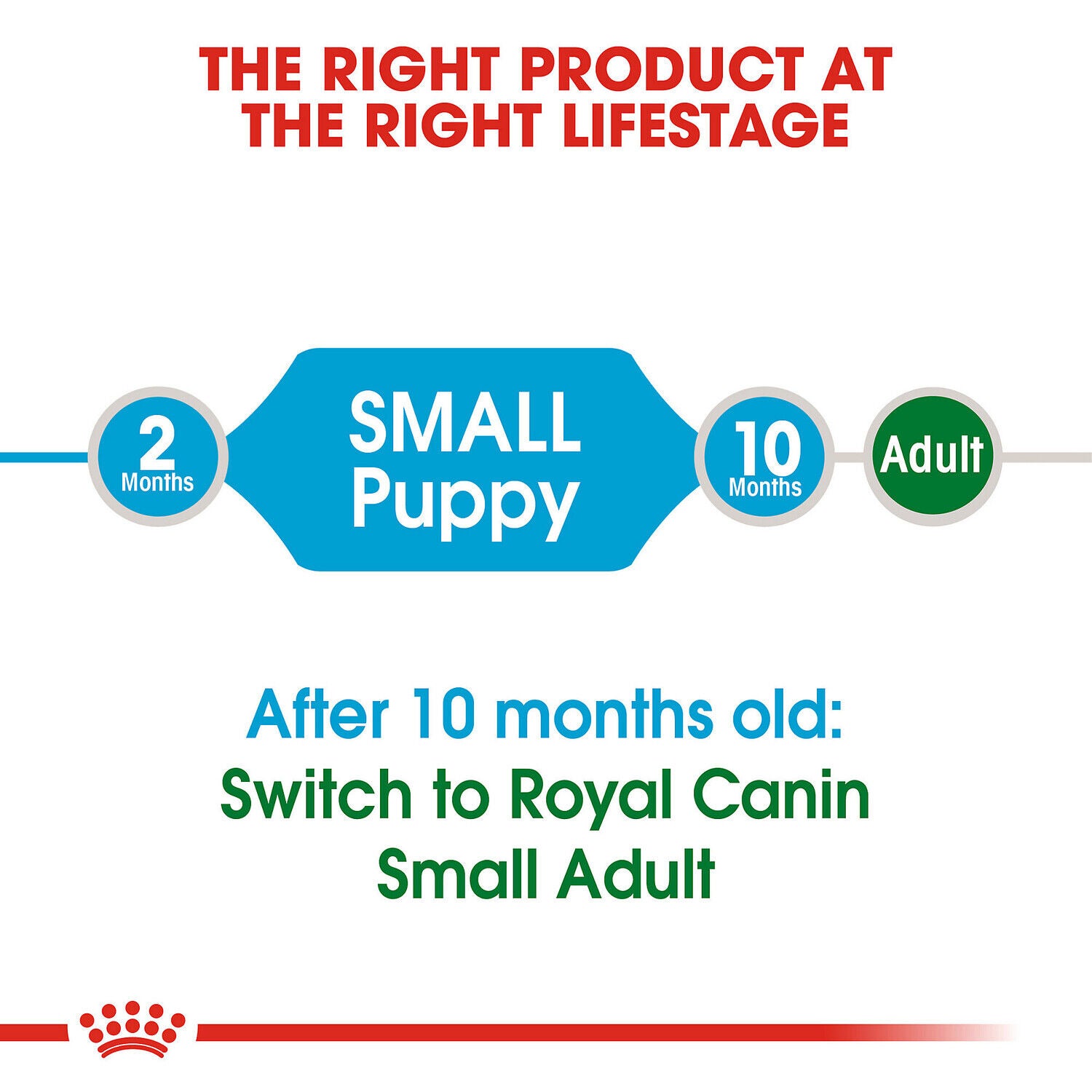 Royal Canin Size Health Nutrition Small Puppy Dry Dog Food, 14-Lb