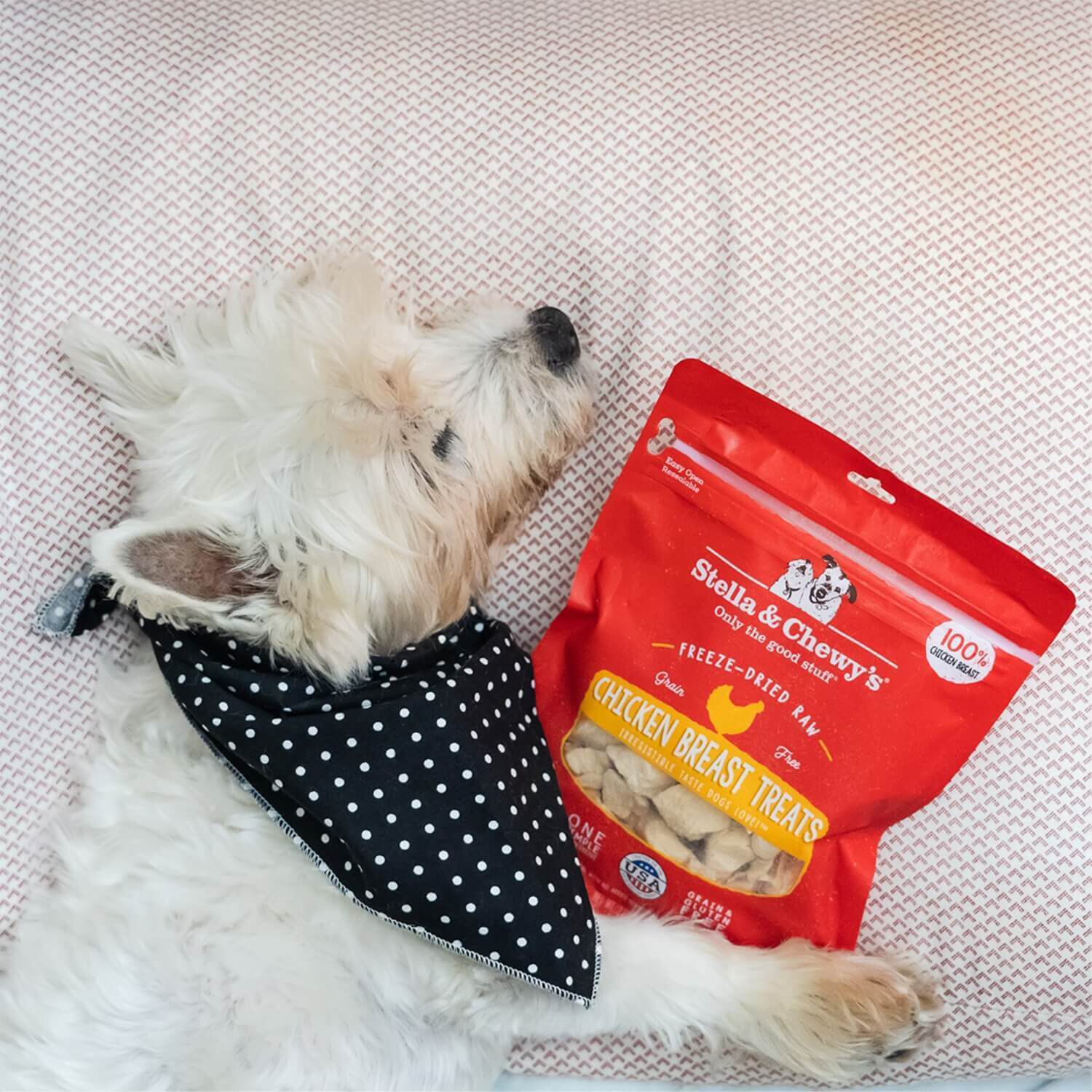 Stella & Chewy's Chicken Breast Dog Treats, 2.75-Oz Pouch