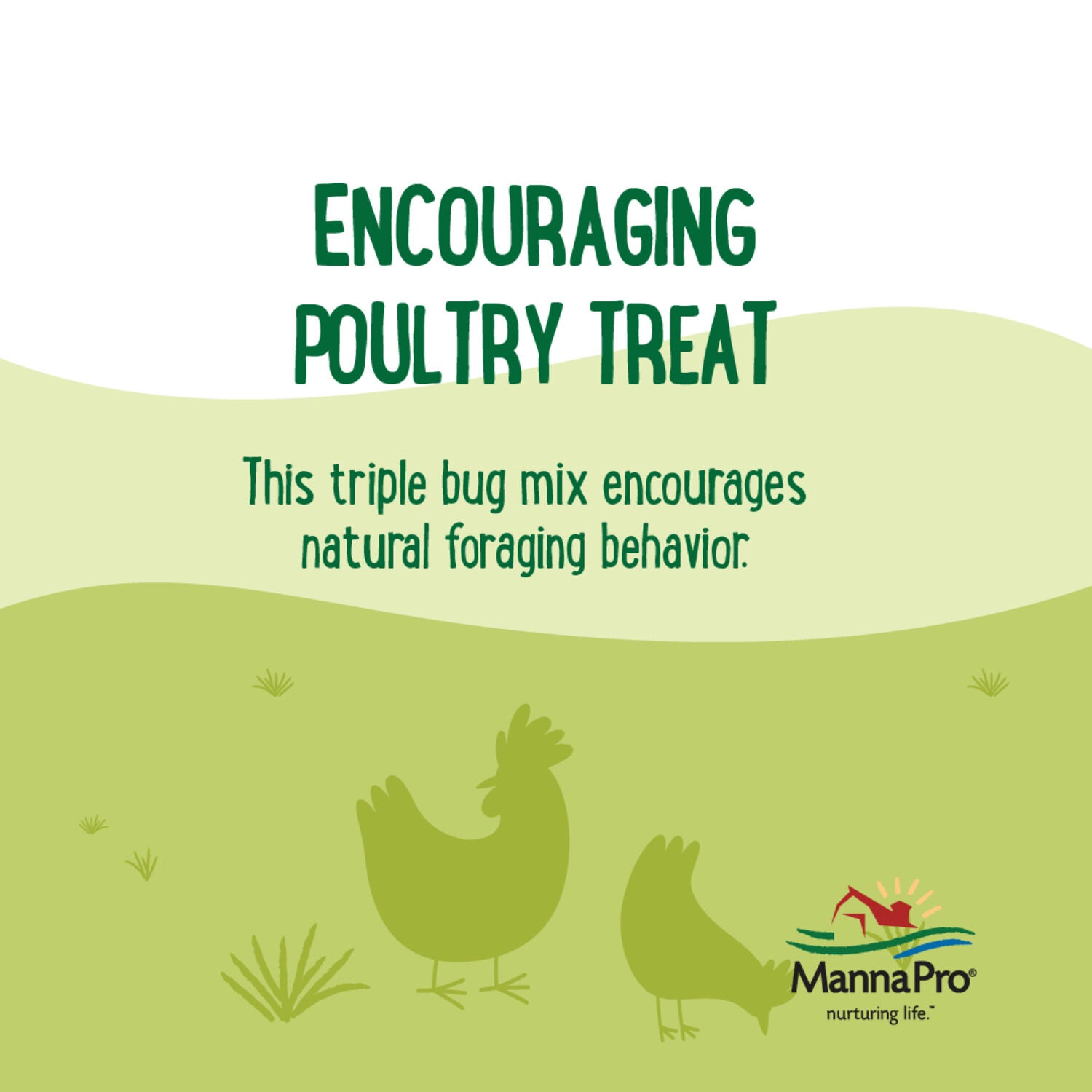 Manna Pro Farmhouse Favorites Triple Bug Mix Chicken Treats, 2Lb