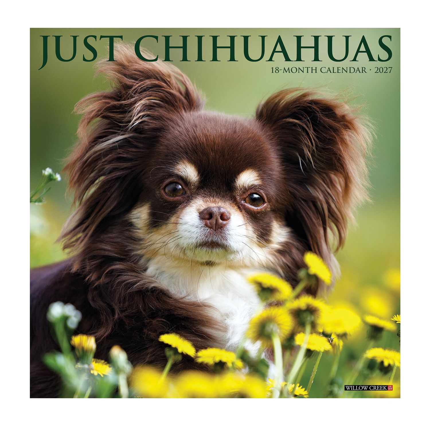 Willow Creek Press Just Chihuahuas 2027 Wall Calendar