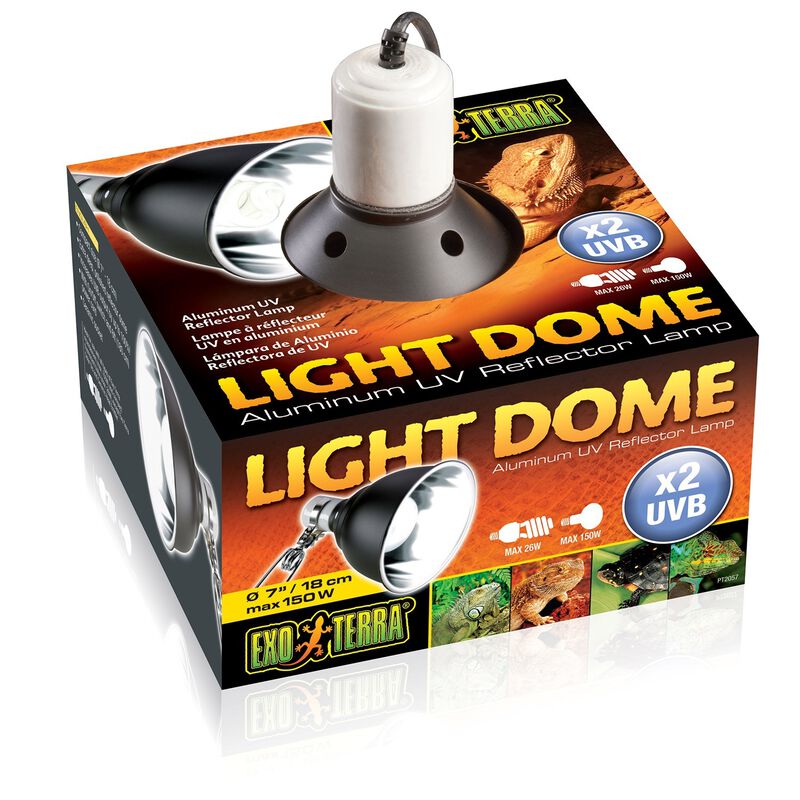 Light Dome image number 1