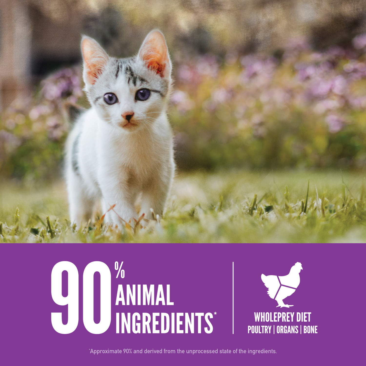 Orijen Grain Free, Premium, High Protein, Fresh & Raw Animal Ingredients Dry Cat Food For Kitten, 4Lb