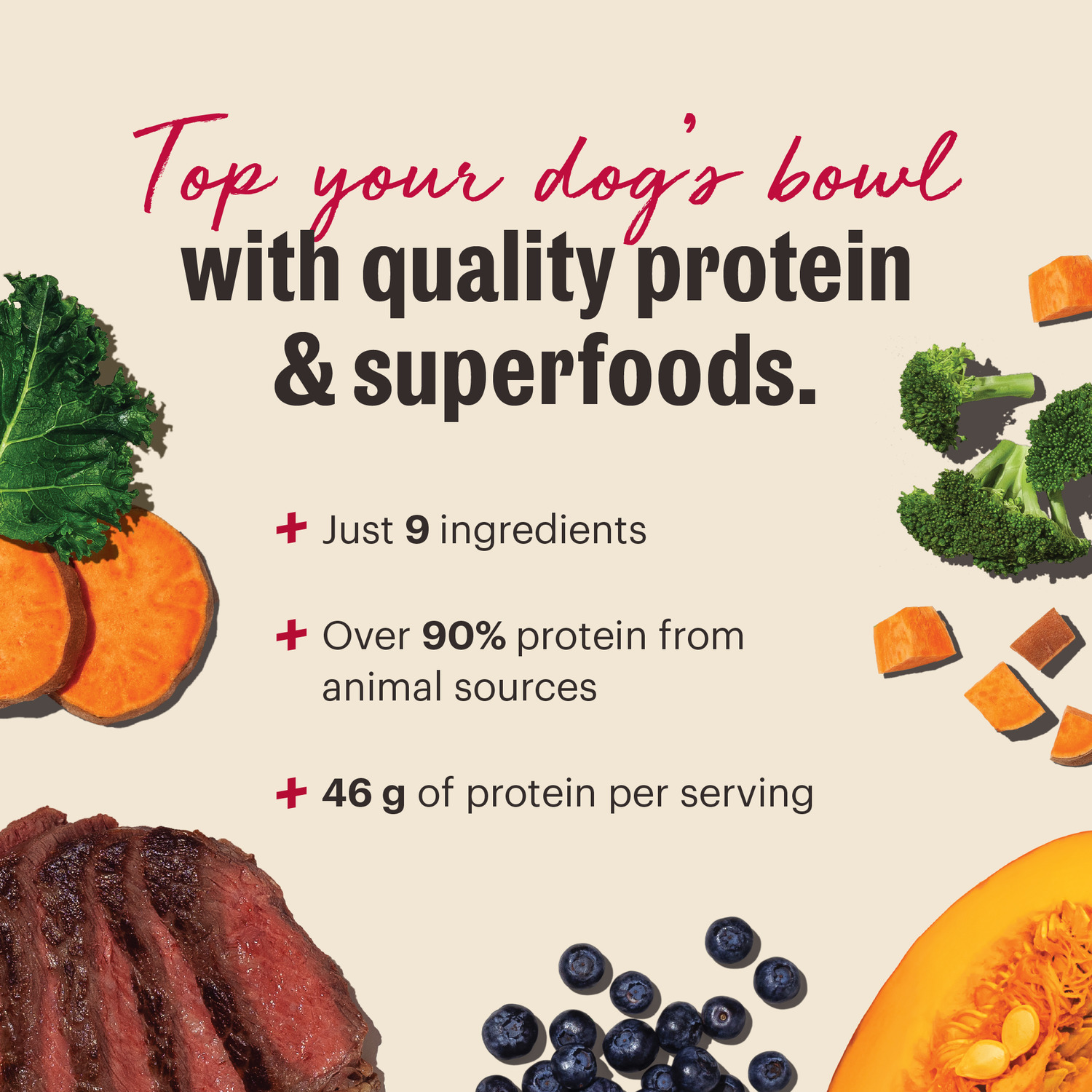 The Honest Kitchen Protein Plus+ Grain Free Beef & Superfoods Dehydrated Dog Food Topper, 12-Oz