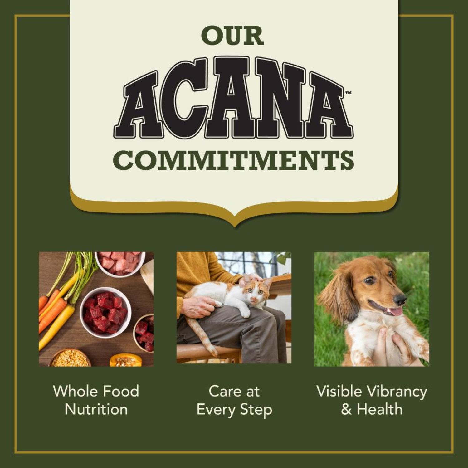 Acana Market Medley Dry Cat Food, Duck, Chicken & Turkey Recipe, High-Protein Kibble + Freeze-Dried Morsels,  3.5-Lb Bag