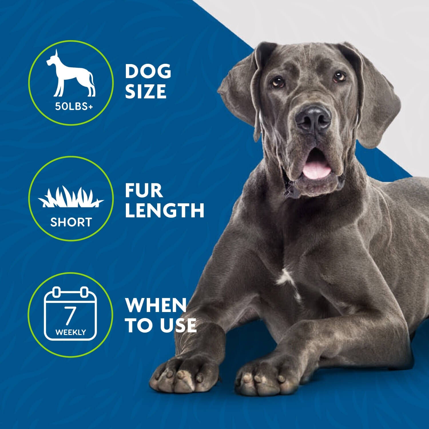 Furminator Short Hair Deshedding Dog Grooming Tool, Grey/Blue, Large