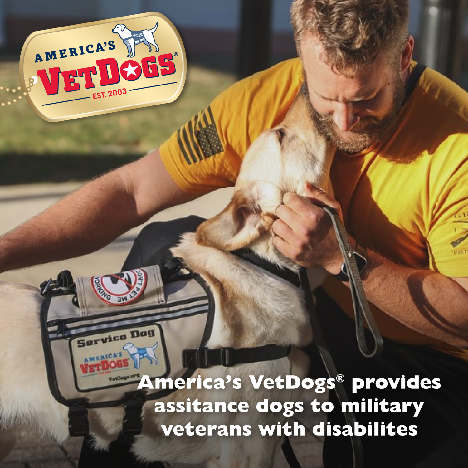 Bil-Jac America's Vetdogs Skin & Coat Formula Chicken Crunchy Biscuit Dog Treats, 16-Oz Bag