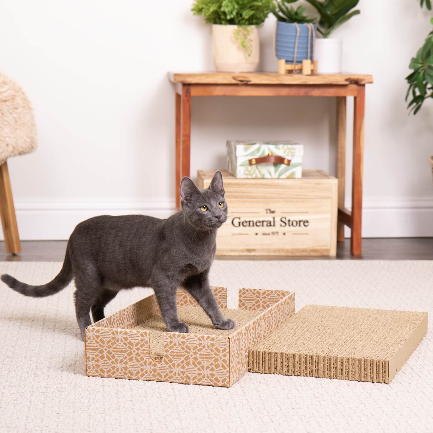 Instincts By Smartykat® Scratcher's Choice+ Bed Box Refills