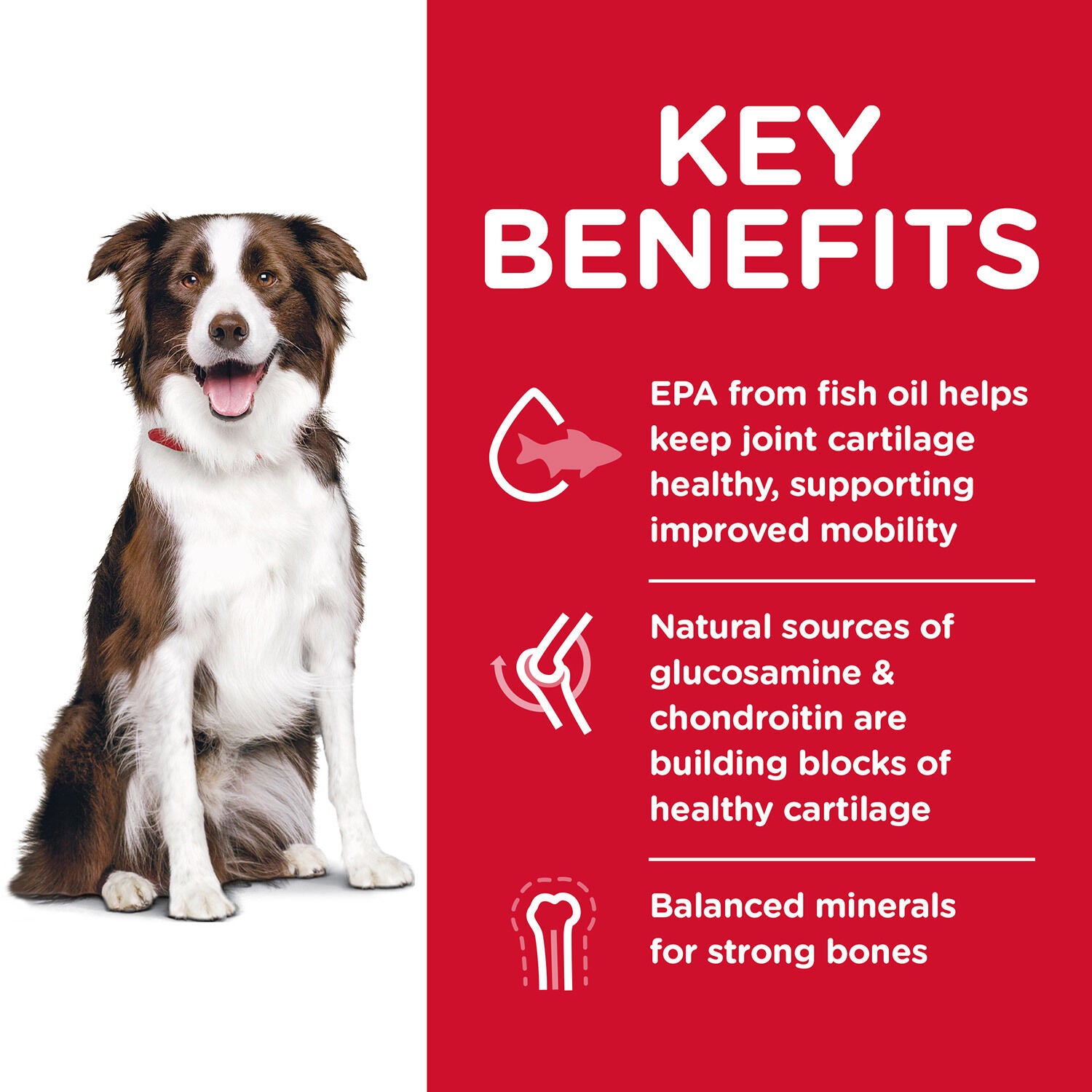 Hill's Science Diet Healthy Mobility Large Breed Adult Chicken & Barley Recipe Dry Dog Food