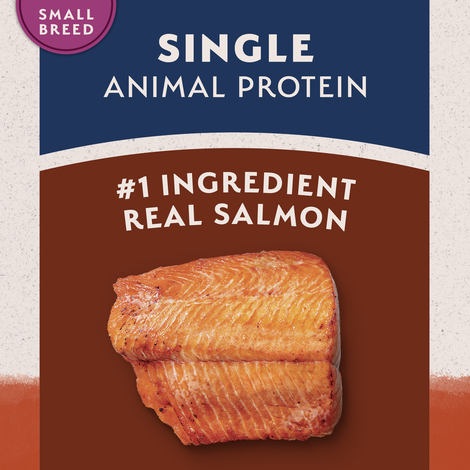 Natural Balance Limited Ingredient Grain-Free Small Breed Salmon & Sweet Potato Recipe Dry Dog Food, 4-Lb Bag