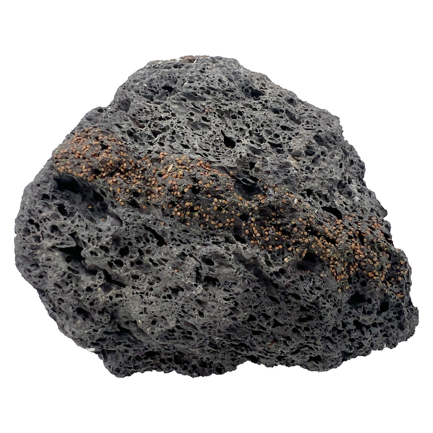 Penn-Plax Black Tide & Treasure Lava Rock Aquarium Decor
