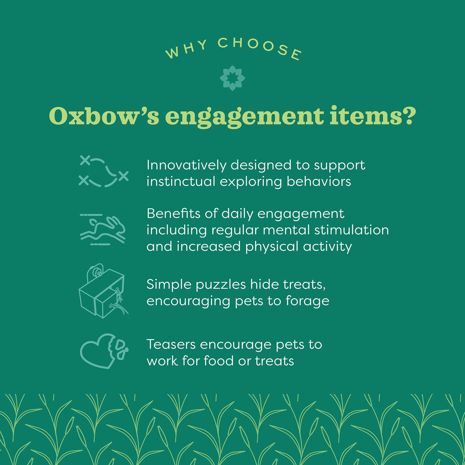 Oxbow Enriched Life Garden Dig Box
