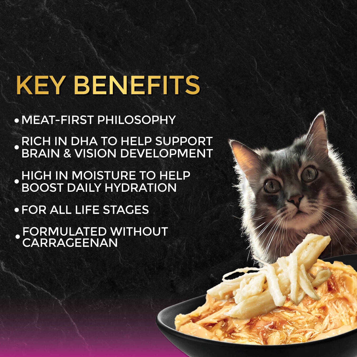 Fussie Cat Premium Wet Cat Food, Tuna With Chicken In Gravy - 2.62 Oz