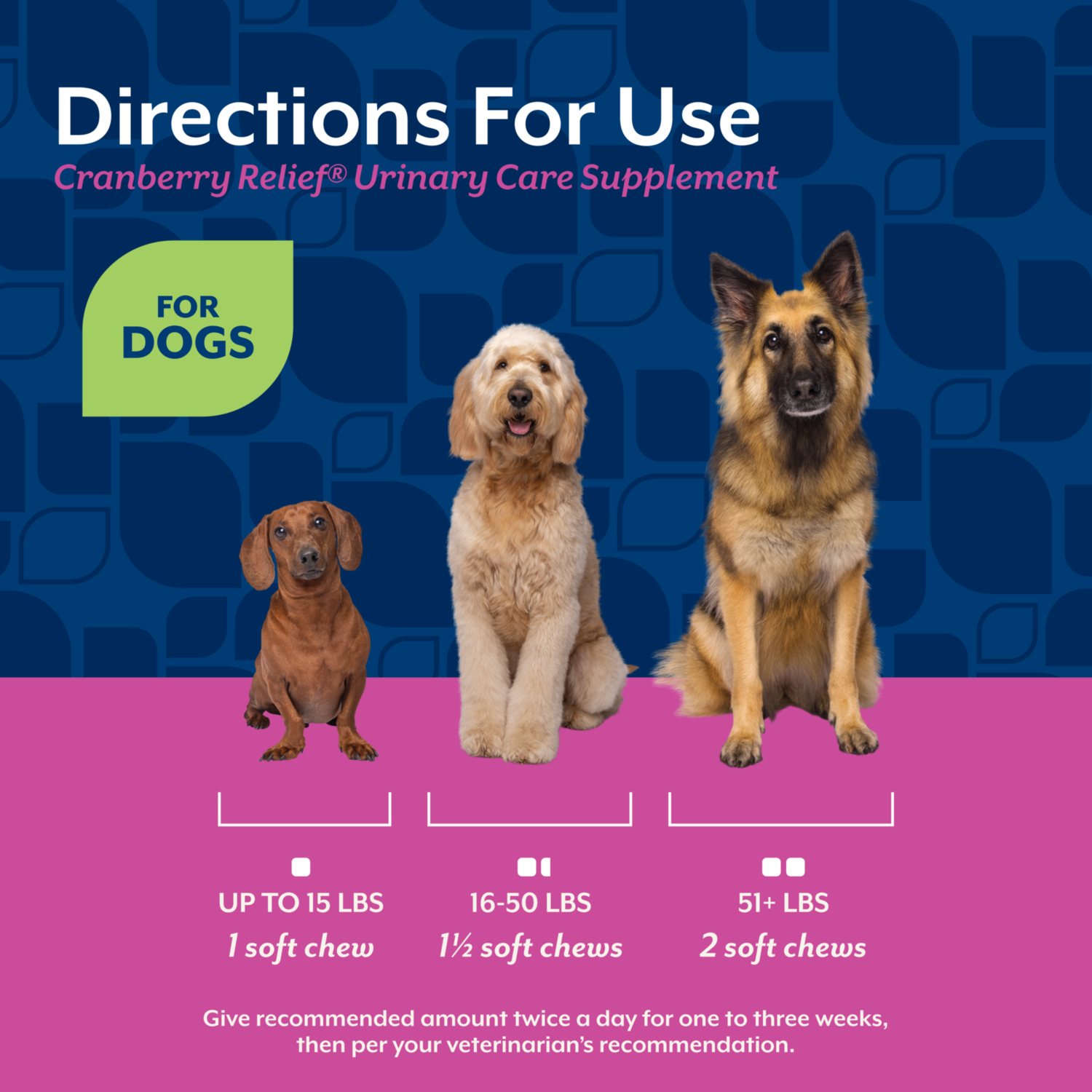 Naturvet Cranberry Relief Healthy Urinary Tract + Echinacea Soft Chew Supplements For Dogs